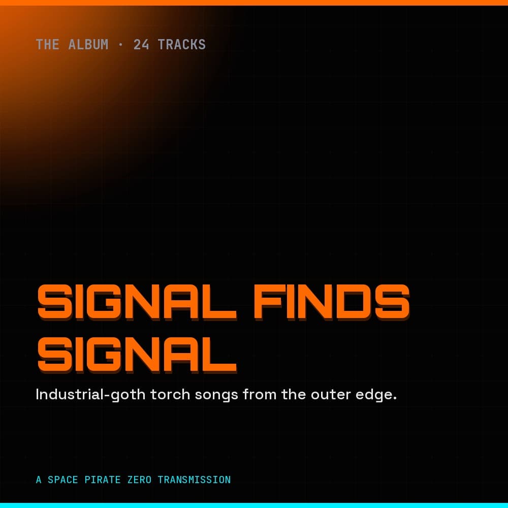 Signal Finds Signal album cover